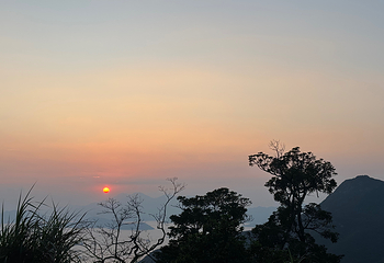 太平山顶第 214 张图片