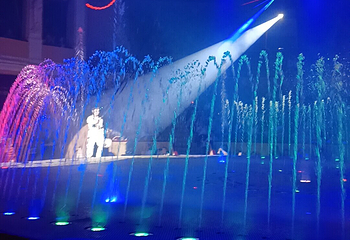 圣彼得堡大马戏（奇尼塞利马戏团）第 16 张图片
