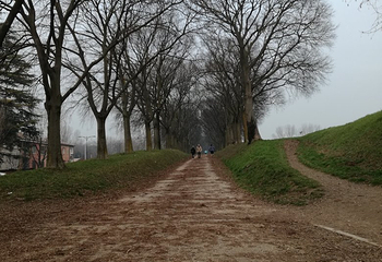 Le Mura di Ferrara第 22 张图片
