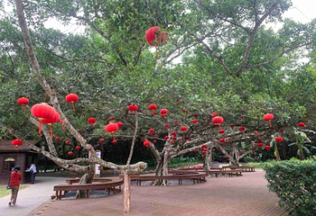 文昌宋氏祖居第 43 张图片