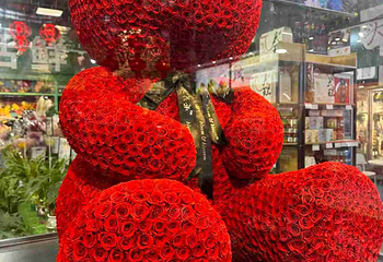 昆明斗南花卉市场第 16 张图片