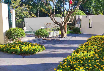 芭东小镇温泉第 95 张图片