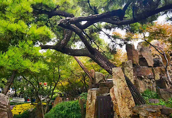个园第 153 张图片