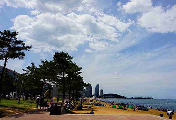 威海国际海水浴场第 17 张图片