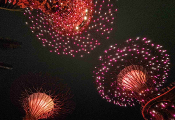 新加坡滨海湾花园第 349 张图片