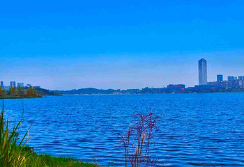 兴隆湖湿地公园第 18 张图片