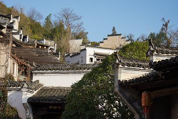 婺源篁岭景区第 164 张图片