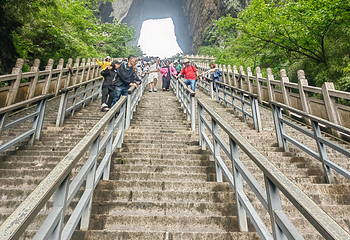 天门山国家森林公园第 339 张图片