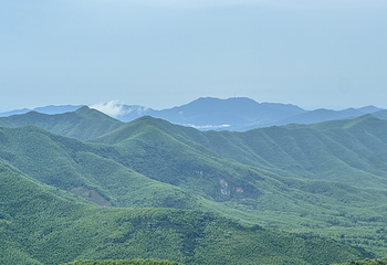 宜兴竹海风景区第 12 张图片