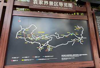 张家界国家森林公园第 251 张图片