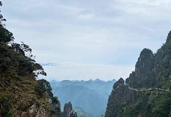 莽山旅游区国家森林公园第 57 张图片