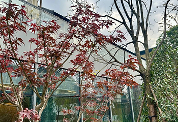 武汉甘露山花间堂·岚雪温泉中心第 12 张图片