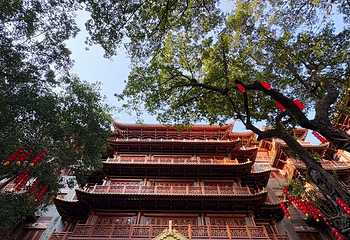 大佛古寺第 125 张图片