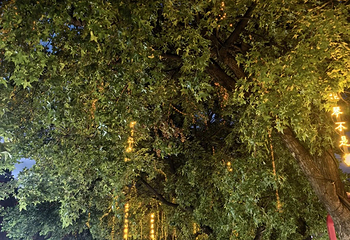 大唐不夜城第 283 张图片