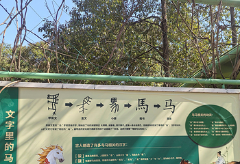 宁波野生动物园第 62 张图片