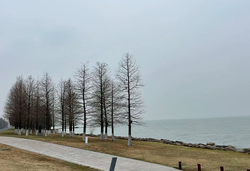 东太湖生态旅游度假区第 31 张图片