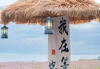 淀山湖风景区第 12 张图片