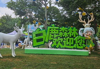 白鹿森林第 1 张图片