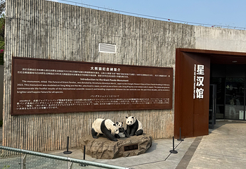 成都大熊猫繁育研究基地第 221 张图片