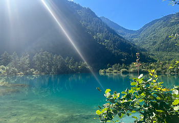 九寨沟风景区第 267 张图片