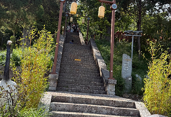 狮子山第 47 张图片
