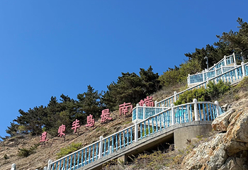 老铁山黄渤海分界线第 47 张图片