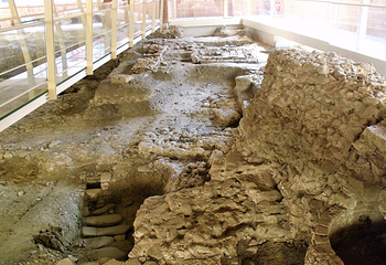 Domus del Chirurgo第 4 张图片
