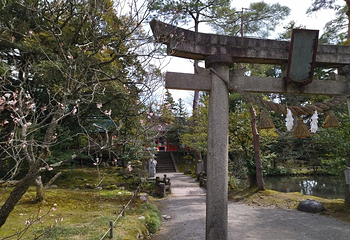 金澤神社第 15 张图片
