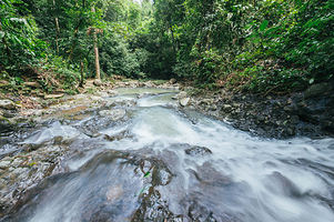 斗湖徳源可可庄园