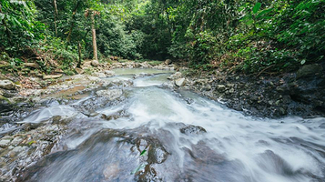 斗湖徳源可可庄园