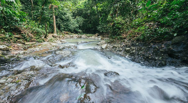 斗湖徳源可可庄园