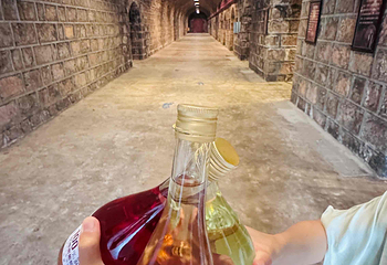 云南红酒庄第 15 张图片
