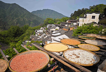 婺源篁岭景区第 94 张图片