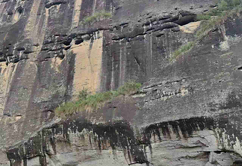 武夷山国家公园第 163 张图片