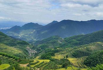 云和梯田景区第 21 张图片