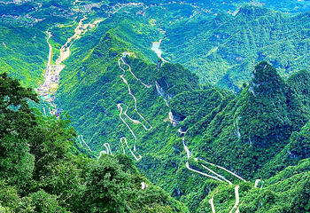 天门山国家森林公园第 345 张图片
