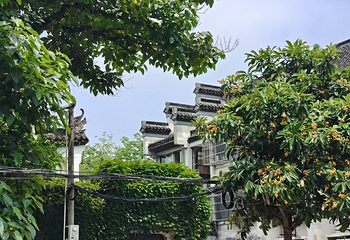 枫泾古镇第 79 张图片