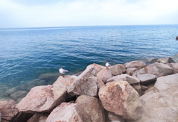 青海湖景区第 155 张图片