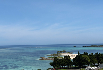 冲绳美丽海水族馆第 31 张图片