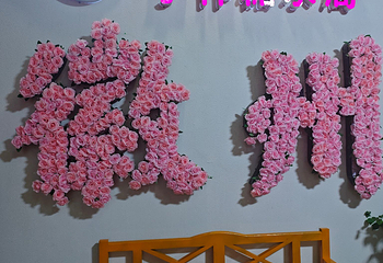 徽州古城第 55 张图片