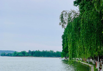 东湖生态旅游风景区第 31 张图片