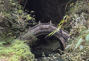 张家界大峡谷第 133 张图片