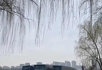 西安世博园第 148 张图片
