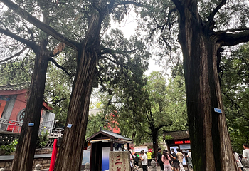 岱庙第 44 张图片