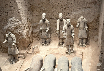秦始皇帝陵博物院(兵马俑)第 486 张图片