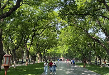 天坛公园第 306 张图片