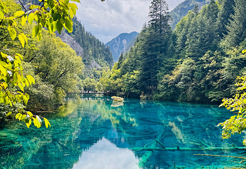 九寨沟风景区第 198 张图片