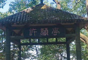 歌乐山国家森林公园第 84 张图片