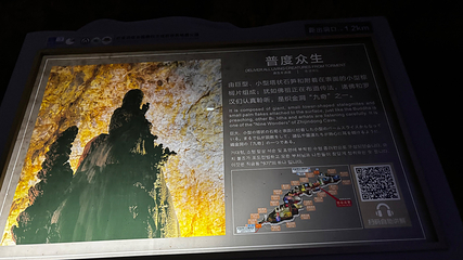 织金洞第 338 张图片