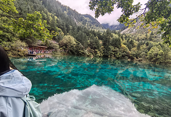 九寨沟风景区第 443 张图片